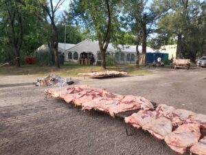 festival 7