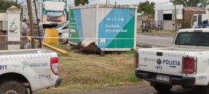 caballo muerto electrocutado mercedes