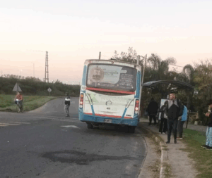 colectivos gowland