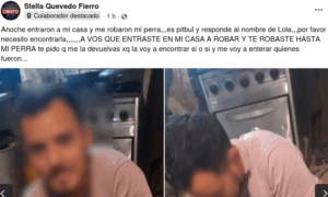 robo perro 5