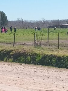 loteo okupas