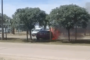 incendio gowland