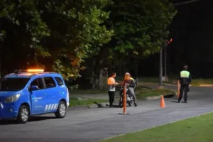 operativod transito mercedes