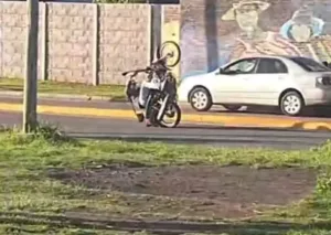 picadas la trocha