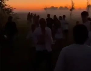 pelea silva martinez