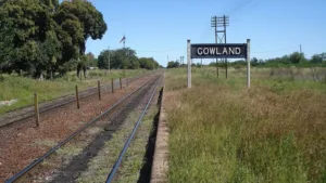 gowland zanella 110 hospital