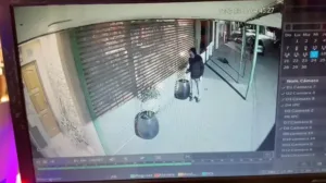 robo plantas comercio
