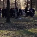 pelea parque municipal mercedes