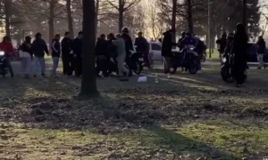 pelea parque municipal mercedes