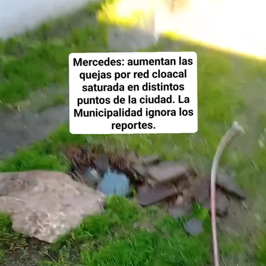 cloacas mercedes