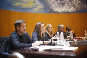 mariano recalde cristina kirchner sagasti vanesa siley